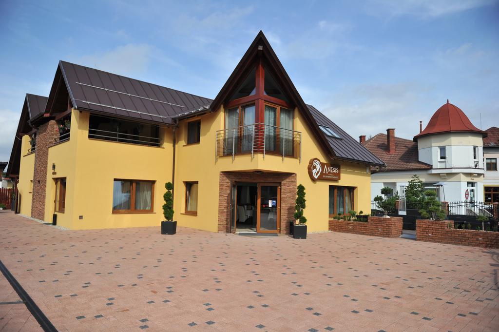 Penzion Anesis - Studia Turcianske Teplice Exterior photo